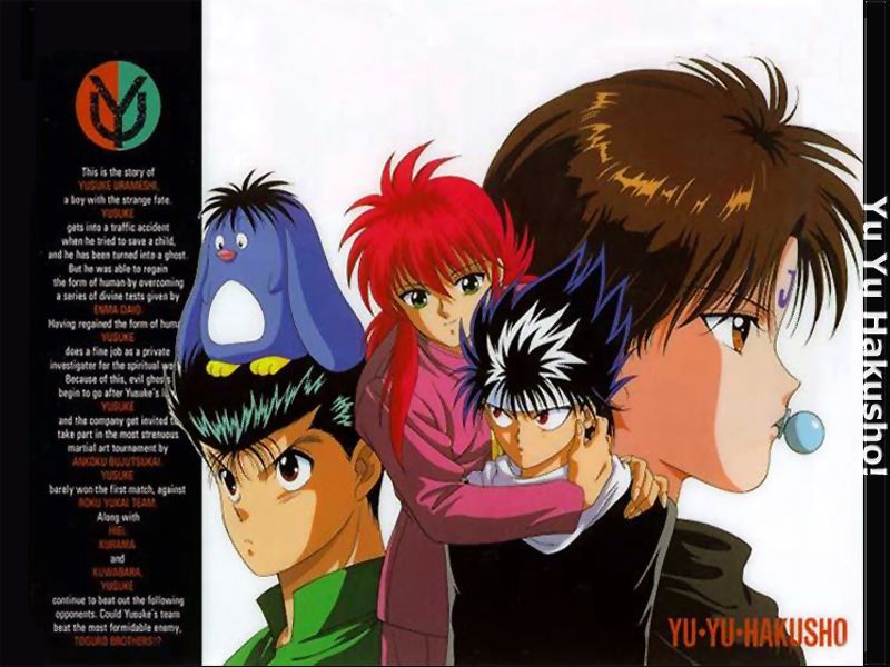 Yu Yu Hakusho 013.jpg